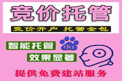 百度推广实战案例分享